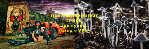 прущие грибы Пыть-Ях